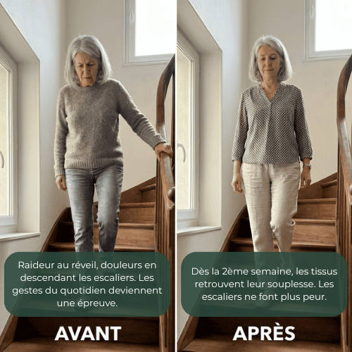 ARTIVIA — Spray articulaire botanique par Magloria