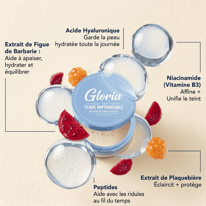 Gloria - Poudre fixatrice hydratante
